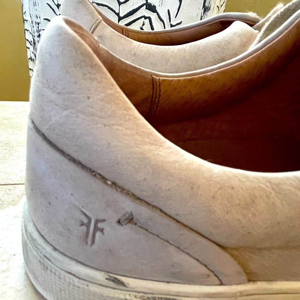 Daily sneakers Frye